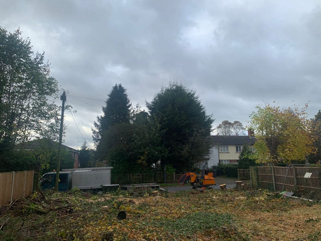 Site clearance after