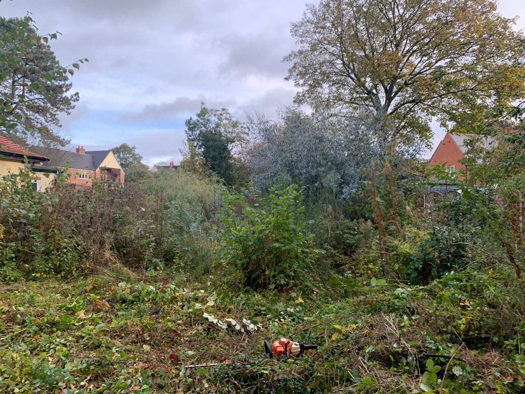 Site Clearance Before