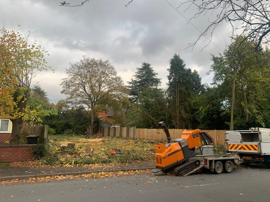 Site Clearance After