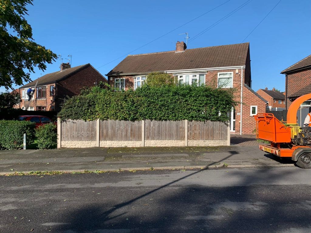 Hedge cutting Before