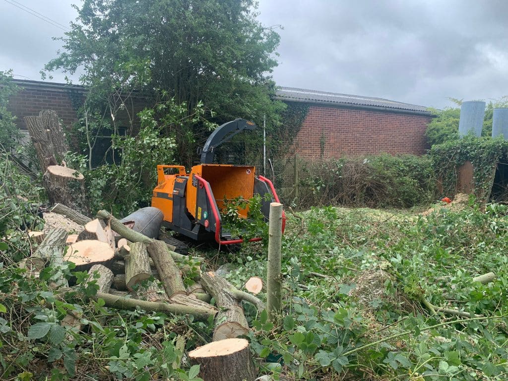 Site Clearance